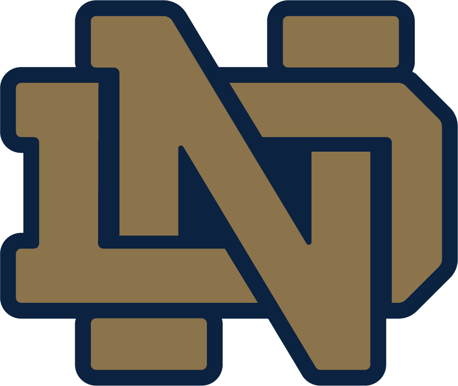 Notre Dame Fighting Irish 2006-2015 Alternate Logo DIY iron on transfer (heat transfer)